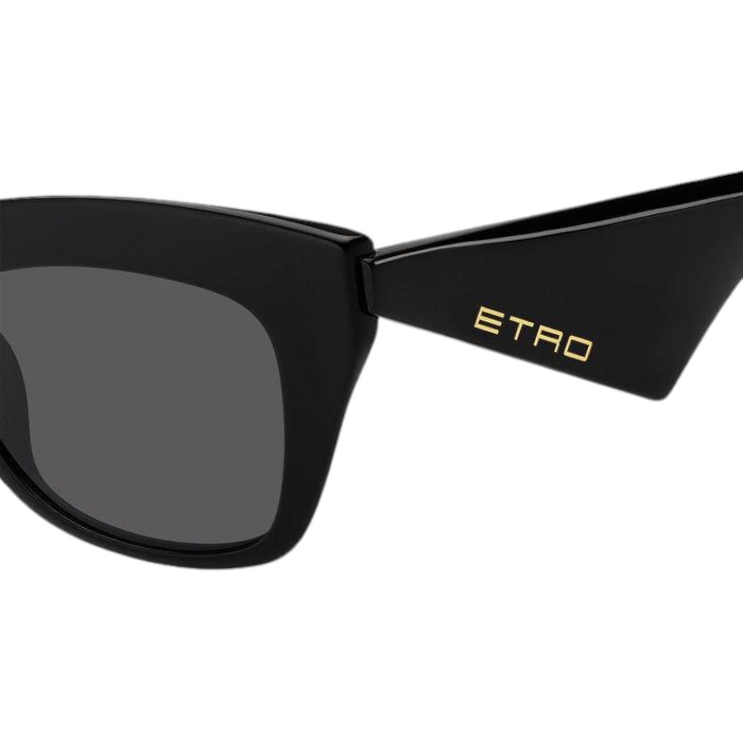 ETRO 0004 G/S | LUNETTES DE SOLEIL POUR FEMME