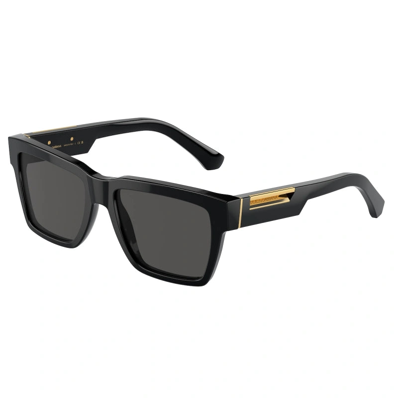 DOLCE &amp; GABBANA DG 4465 | MEN'S SUNGLASSES