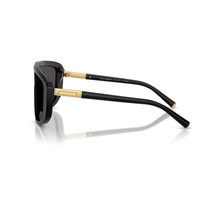 DOLCE E GABBANA DG 4520 - 501/87 | OCCHIALI DA SOLE UOMO