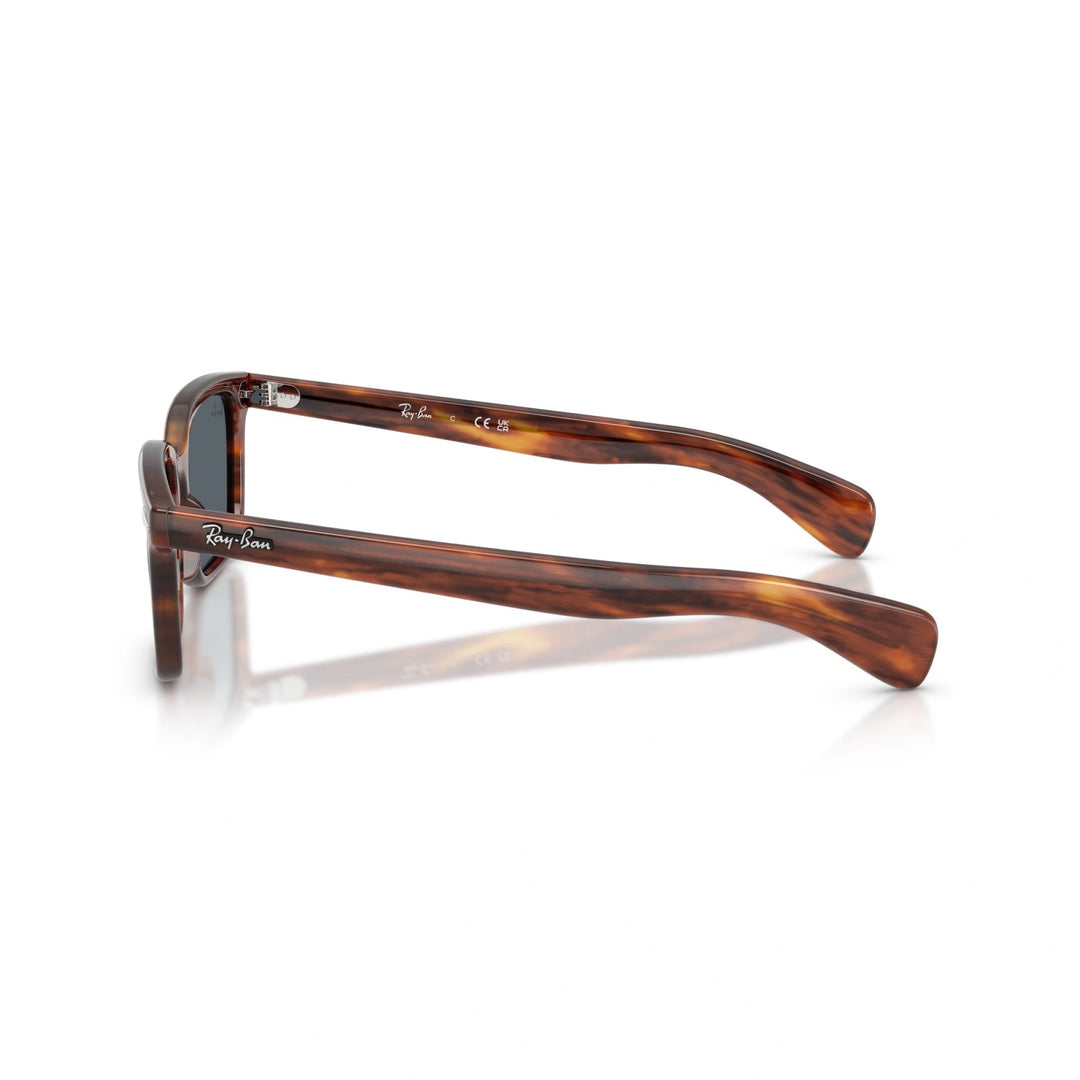 Ray-Ban RB 2234 - 954/R5 | Occhiali da sole Unisex
