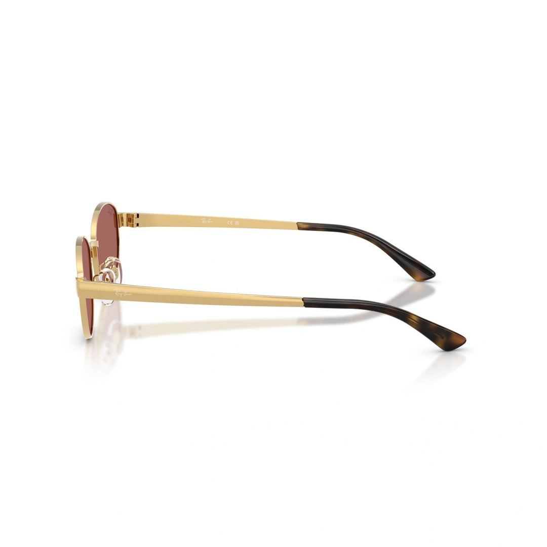 Ray-Ban RB 3774D - 001/69 | Occhiali da sole