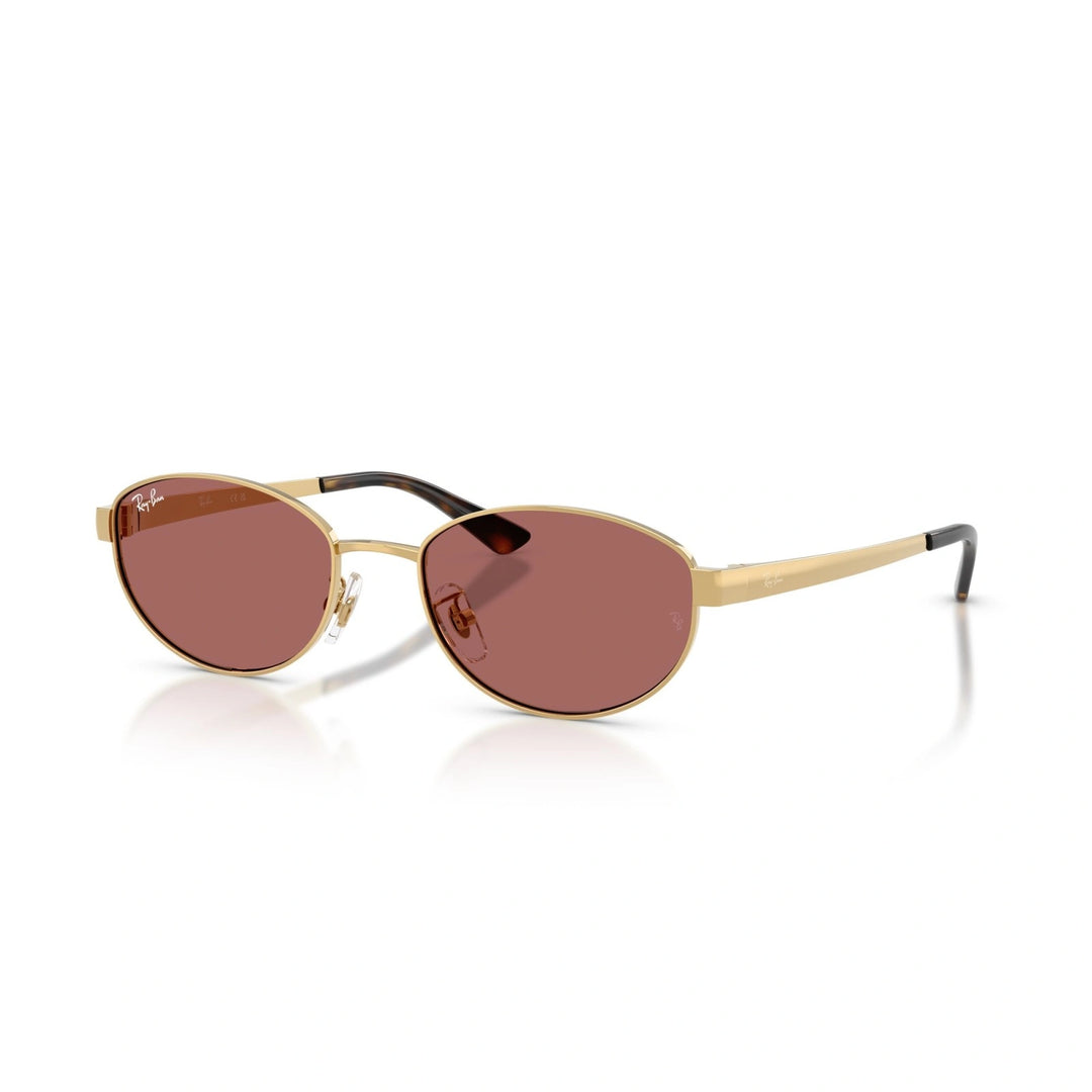 Ray-Ban RB 3774D - 001/69 | Occhiali da sole