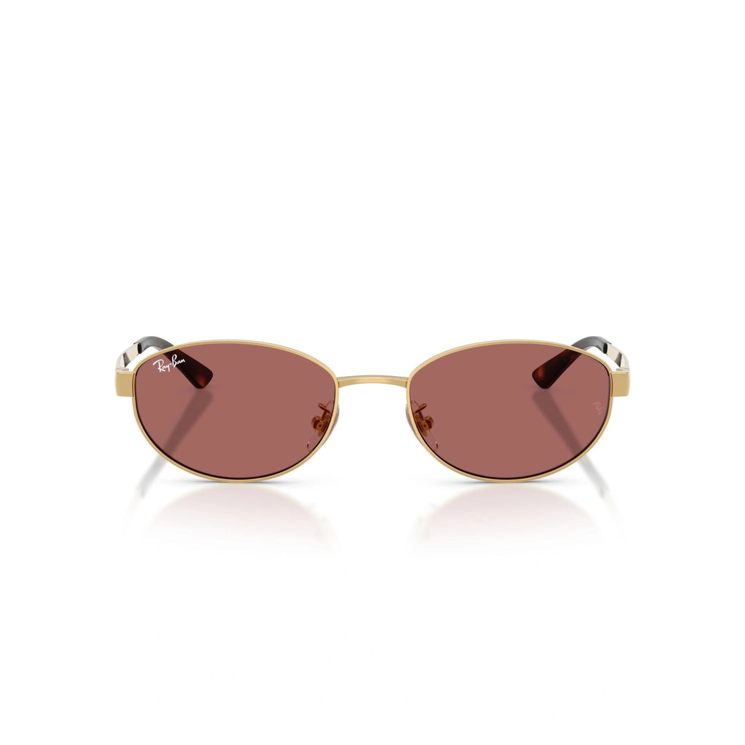 Ray-Ban RB 3774D - 001/69 | Occhiali da sole