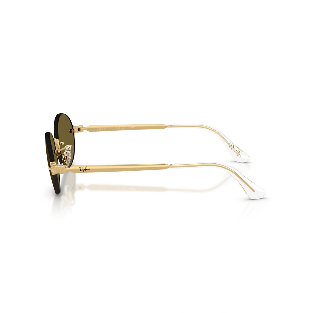 Ray-Ban RB 3929 - 001/73 | Occhiali da sole
