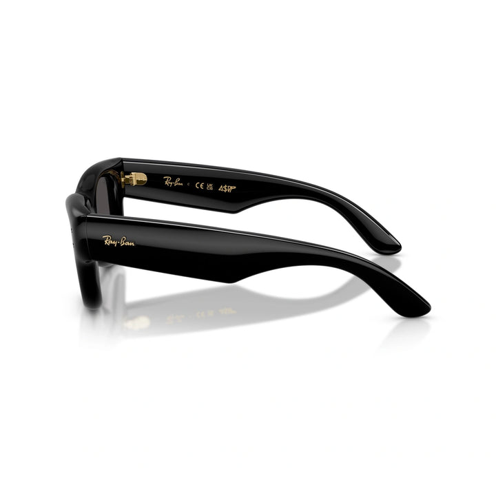 RAY BAN  RB 4940 - 601/87 | OCCHIALI DA SOLE UNISEX