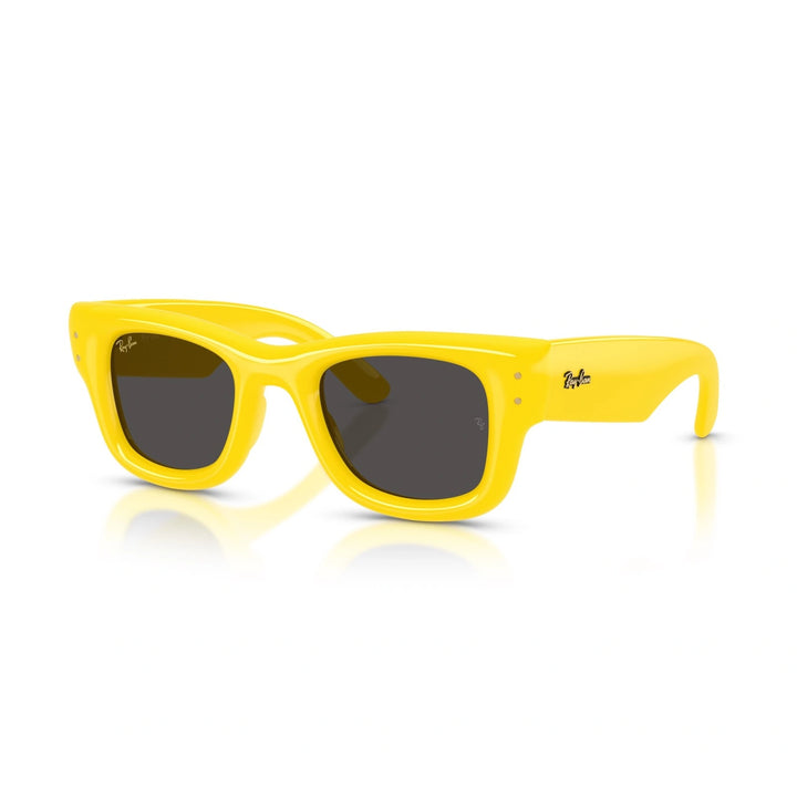 RAY BAN  RB 4940 - 683087 | OCCHIALI DA SOLE UNISEX