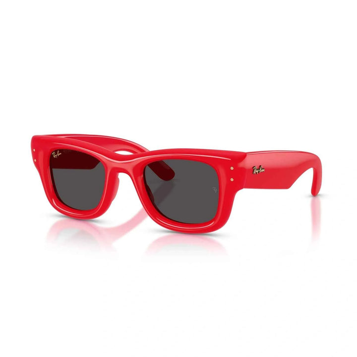 RAY BAN  RB 4940 - 671/87 | OCCHIALI DA SOLE UNISEX