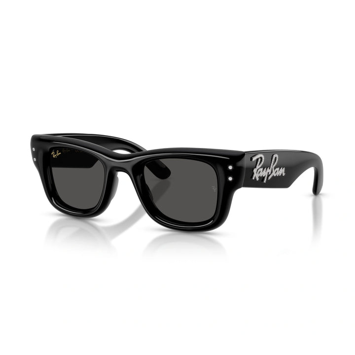 RAY BAN RB 4940BP - 686487 | OCCHIALI DA SOLE UNISEX